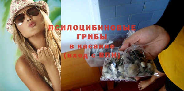 трава Беломорск