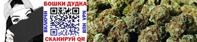 Марихуана планчик Новый Оскол